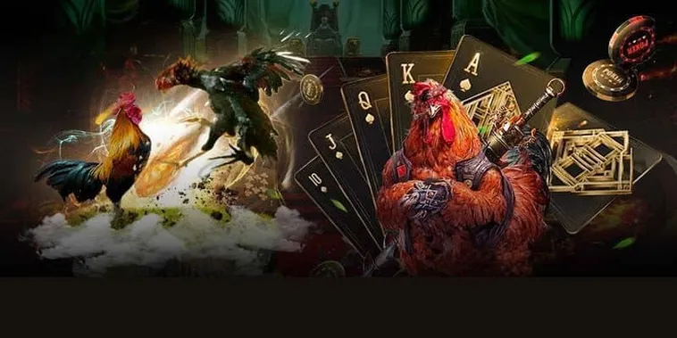 Chinh Phục Sảnh Đá Gà GA28 Tại KingFun Với Chiến Thuật Đỉnh Cao