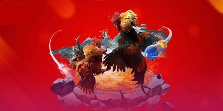 Đá Gà KingFun Đỉnh Cao Hé Lộ Bí Kíp Cược Đâu Thắng Đó