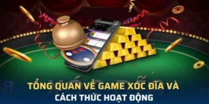 Bật Mí Tuyệt Chiêu Soi Cầu Xóc Đĩa Tại KingFun Chuẩn Xác
